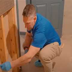 The Importance of Mold Inspection During Home Buying