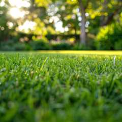 Alexandra Hills Lawn Mowing And Gardening Services