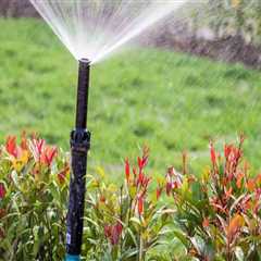 Top Tips For Maintaining Your Lawn Sprinkler System: When To Call For Trench Mainline Repair In..