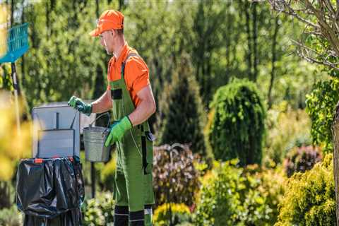 Groundskeeping vs. Landscaping: What’s the Difference?