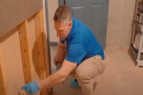 The Importance of Mold Inspection During Home Buying