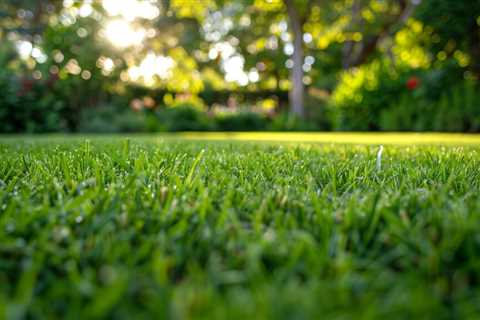 Alexandra Hills Lawn Mowing And Gardening Services