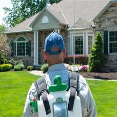 Why Outdoor Pest Control Matters for Protecting Home Foundations
