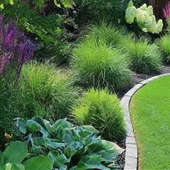 Why Termite Control Is A Must For Healthy Landscaping Trees In Fayetteville