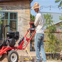 Why Stump Grinding In Oregon Should Be Done Before Trying New Outdoor Furniture Trends