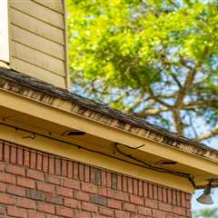 Roof Maintenance: Prevent Moss, Algae & Ice Dams | Surface CPR