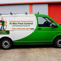PJ Mac Pest Control King of Prussia, PA