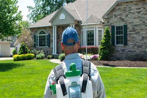 Why Outdoor Pest Control Matters for Protecting Home Foundations