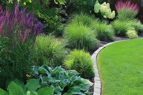 Why Termite Control Is A Must For Healthy Landscaping Trees In Fayetteville
