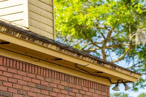 Roof Maintenance: Prevent Moss, Algae & Ice Dams | Surface CPR