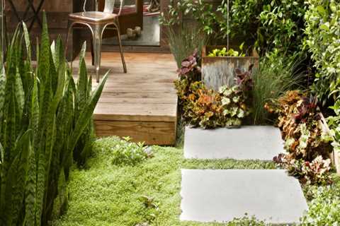 Why Hiring a Landscape Architect Is Worth the Investment