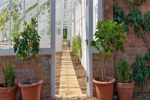 Maximizing Evening Views: How Household Window Tint Service Impacts Smart Landscape Lighting In..