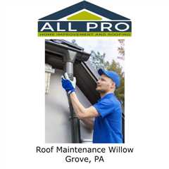 Roof Maintenance Willow Grove, PA