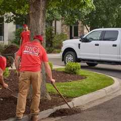 Provo Utah Landscape Maintenance | Bankruptcy Attorney Orem