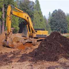 Transform Your Property with Forestry Mulching in Portland