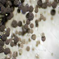 How Low-Pressure Washing Protects Against Hidden Moisture Intrusion and Mold Risks