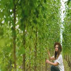 Professional Arborist and Landscape Maintenance in Manchester