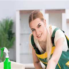 The Rise of On-Demand Cleaning Services