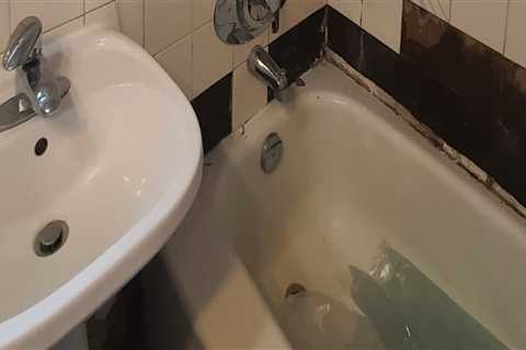 Ensure a Safe Home with Expert Mold Inspection in Oakville