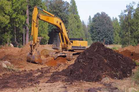 Transform Your Property with Forestry Mulching in Portland