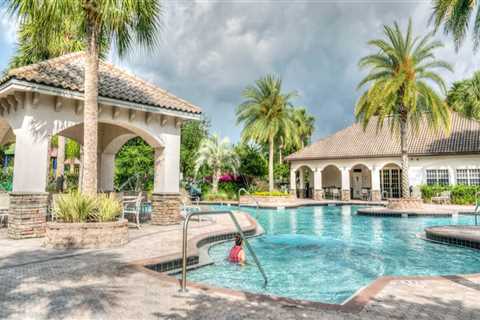 Seasonal Tree Care & Landscape Maintenance in Portland