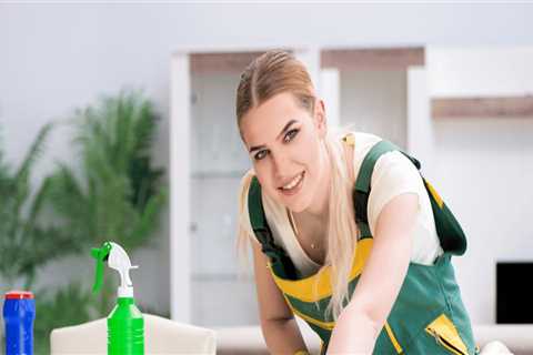 The Rise of On-Demand Cleaning Services