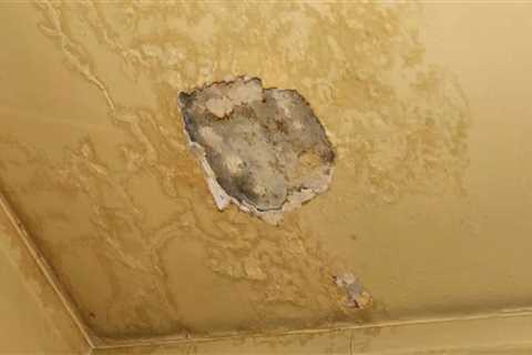 The Silent Signals Your Home Sends Before Foundation Damage Appears