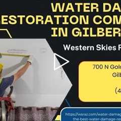 What is the best water damage restoration company in Gilbert, AZ?