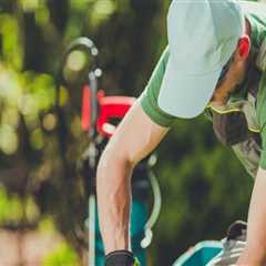 How Tree Felling Can Impact Sprinkler Systems in Northern Virginia