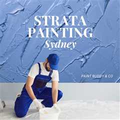 What Coastal Conditions Do to Your Paint &mdash; Dee Why Homeowners Take Note | The Glen Secret