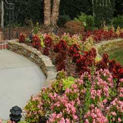 Transform Your Front Yard with Expert Landscaping in Waxhaw