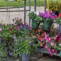 Enhancing Your Manchester, NH Property: Landscaping Insights Through Arboriculture