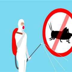 Effective Indoor Pest Control for Holyoke Homes