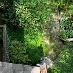 Gutter Cleaning Near Me Lancaster, PA · Jul 2 – Aug 2 📸