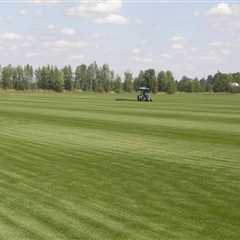 From Lawn Care to Lush Turf: Expert Sod Installation in Fleming Island, FL