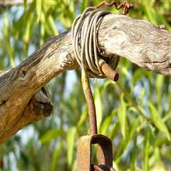 Innovative Lawn and Tree Solutions with CL Fab's Tree Puller