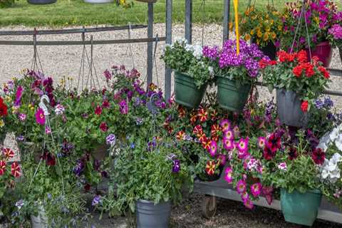 Enhancing Your Manchester, NH Property: Landscaping Insights Through Arboriculture