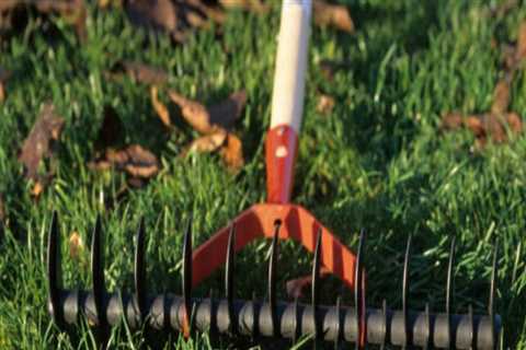 Top Lawn Care Services in Toledo: Keep Your Yard Healthy and Beautiful