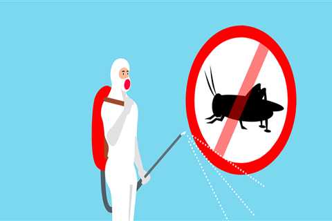 Effective Indoor Pest Control for Holyoke Homes