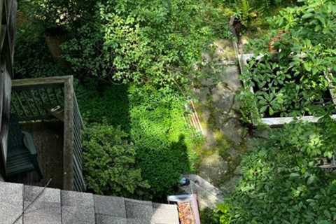 Gutter Cleaning Near Me Lancaster, PA · Jul 2 – Aug 2 📸