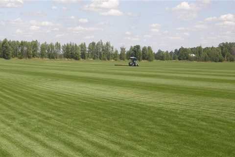 From Lawn Care to Lush Turf: Expert Sod Installation in Fleming Island, FL
