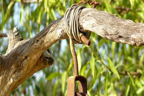 Innovative Lawn and Tree Solutions with CL Fab's Tree Puller