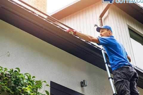 Residential gutter services Willow Grove, PA · Tuesday, Nov 25 📸