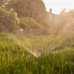 Why Seasonal Timing Matters More Than Lawn Products