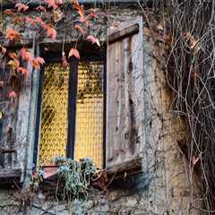 Tips for Hiring Painters Dee Why