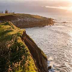 Local Painting Contractors for Renovations