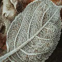 Tips for Hiring Professional Painters