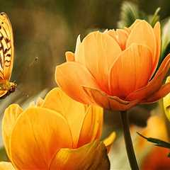 Professional Paver Sealing Specialists