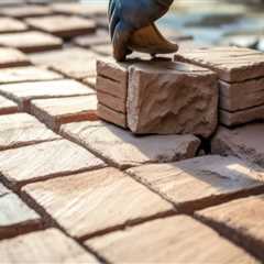 Enhance Your Portland Property with Expert Pest Control