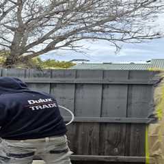 Interior Painting Belmont for Homes